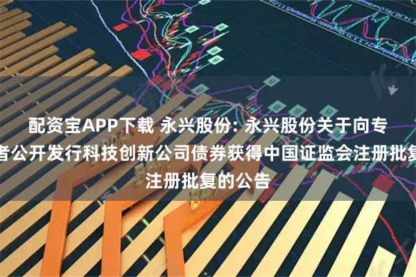 配资宝APP下载 永兴股份: 永兴股份关于向专业投资者公开发行科技创新公司债券获得中国证监会注册批复的公告