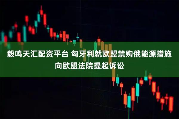 毅鸣天汇配资平台 匈牙利就欧盟禁购俄能源措施向欧盟法院提起诉讼
